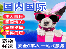 云冈机场空运国际宠物托运 【国